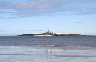 Coquet Island (RSPB) - Amble