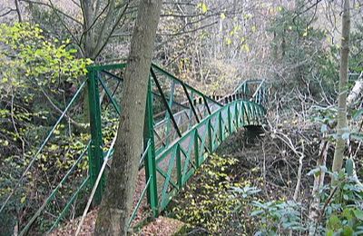 Castle Eden Dene Nature Reserve - Easington