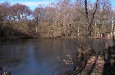 Low Barns Nature Reserve - Bishop Auckland