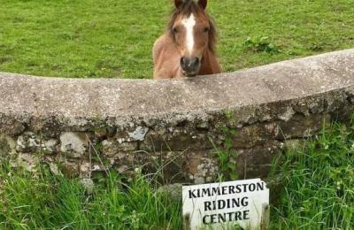 Kimmerston Riding Centre - Ford