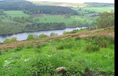 Dale Dike Reservoir - Sheffield