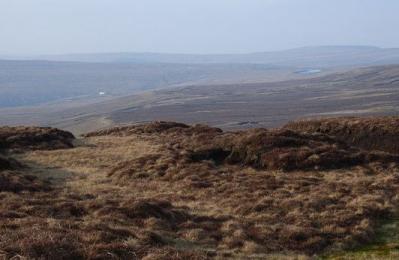 Burnhope Seat