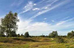 Barnack Hills & Holes Natural Nature Reserve