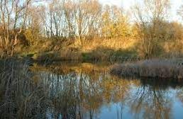 Lattersey Nature Reserve