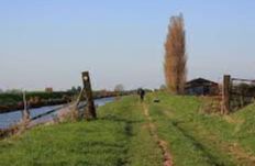 Hereward Way Walk - Cambridgeshire