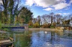 Trumpington - Byron's Pool