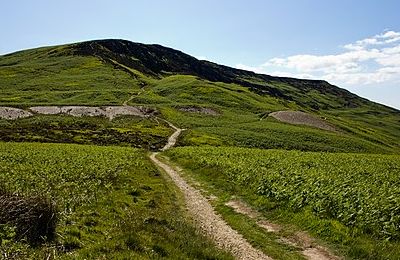 Cringle Moor