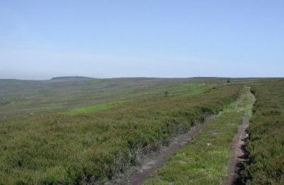 Gisborough Moor