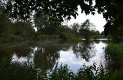 Beccles Marsh Trail