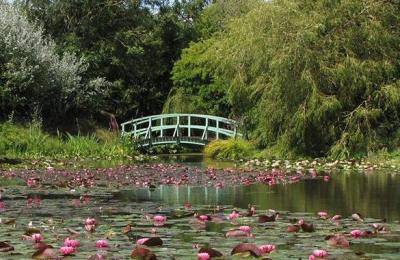 Bennetts Water Gardens - Weymouth