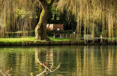 Bibury Trout Farm