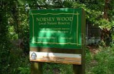 Billericay - Norsey Wood Nature Reserve