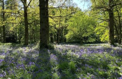 Blickling Country Walks