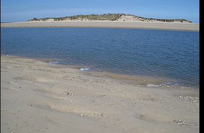 Brancaster - Scolt Head Island Nature Reserve