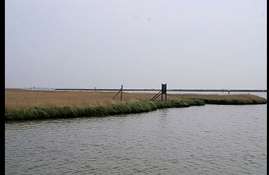 Halvergate - Berney Marshes Nature Reserve