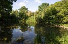 Bury St Edmunds - Nowton Park