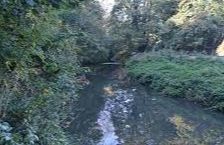 Trumpington - Byron's Pool Nature Reserve