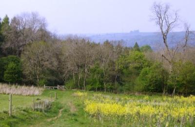 Chedworth Nature Reserve