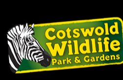 Cotswold Wildlife Park - Burford