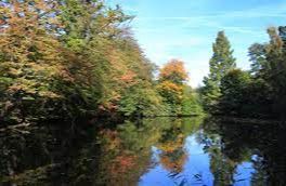 Danbury Country Park