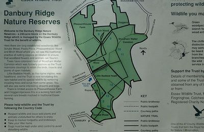 Danbury Ridge Nature Reserve