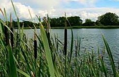 Edward Richardson & Phyllis Amey Reserve - Lechlade