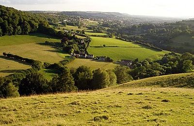 Elliot (Swift's Hill) Nature Reserve - Stroud