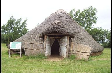 Flag Fen - Fengate