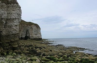 Flamborough Head Nature Reserve