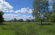 Flitwick Moor Nature Reserve