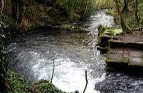 Frome Banks Nature Reserve - Wallbridge