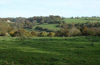 Gatcombe Park - Minchinhampton