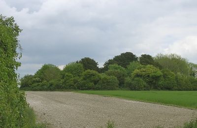 Grans Barrow, Knap Barrow, Duck's nest Long Barrow, (HE) - Rockbourne