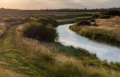 Great Wigborough - Copt Hill Marsh, (NT)