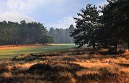 Hankley Common Golf Club - Tilford